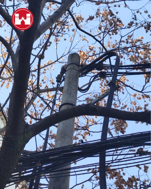 what Determine Pole Height what Determine Pole Height